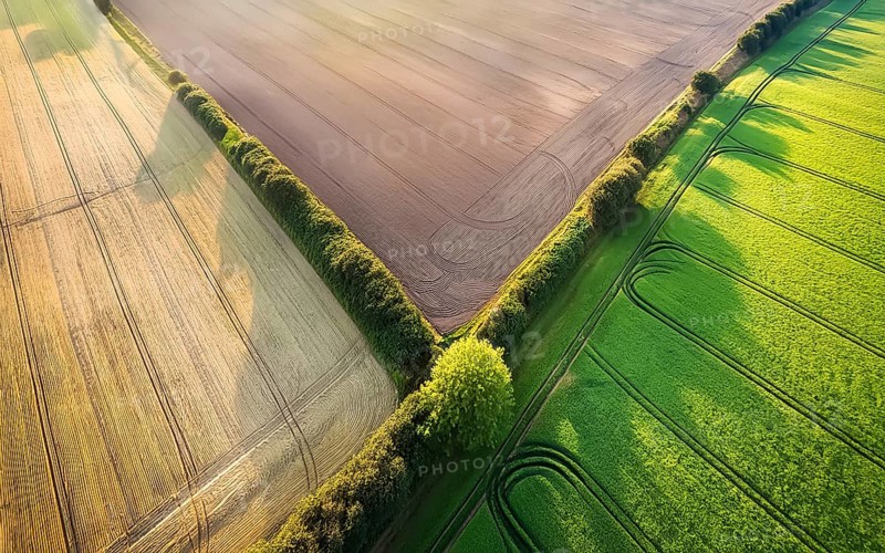 Field hedges from above, between the fields serve as biotope and protection against soil erosion, environmental protection, climate change, AI generated, AI generated