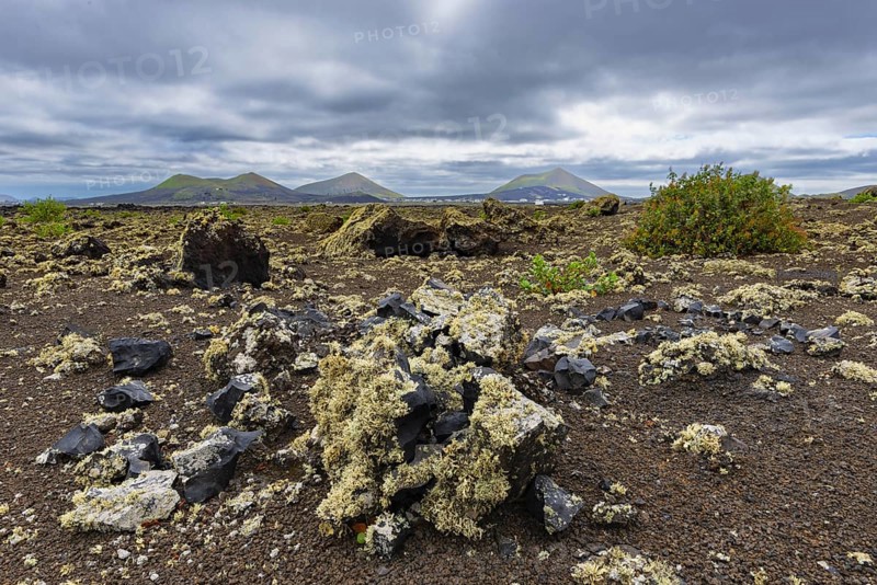 Lichen-covered lava field, Parque Natural de Los Volcanes, near Masdache, Lanzarote, Canary Islands, Spain, Europe