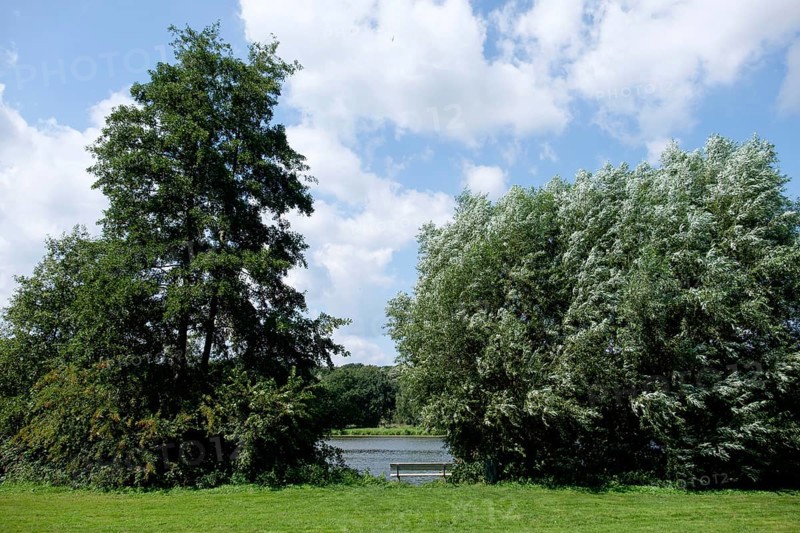 Green trees and a lake under a blue sky on a summer day, small lake with hiking trails and trees in Muensterland, Borken, Germany, Europe