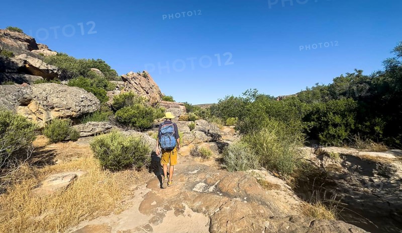 Hikers on the Sevilla Art Rock Trail, dry landscape with yellow rocks, Cederberg Mountains, near Clanwilliam, Western Cape, South Africa, Africa