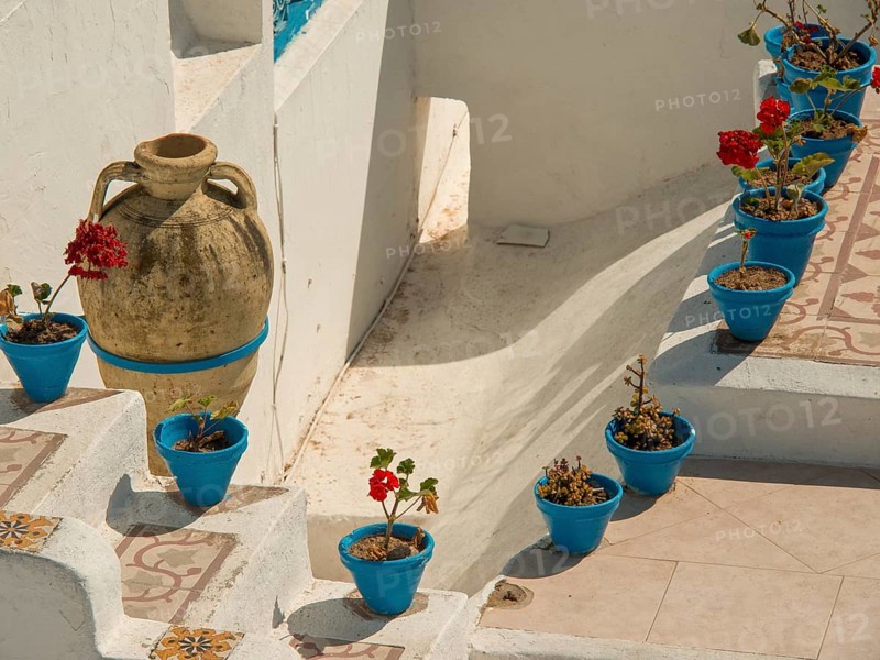 Mediterranean style staircase with blue flower pots, a large clay pot and white walls, Tunis in Africa with Roman ruins, modern mosques and blue and white houses in sidi-bou-said, Tunis, Tunisia, Africa