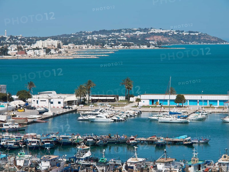 View of a harbour with numerous boats and yachts, calm water and a backdrop of hills, Tunis in Africa with ruins from Roman times, modern mosques and blue and white houses in sidi-bou-said, Tunis, Tunisia, Africa