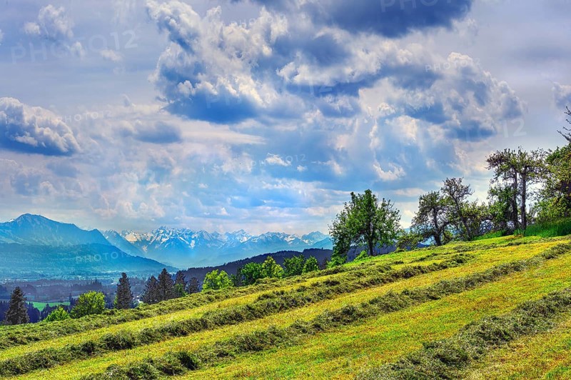Spring, meadow with the first mowing and dramatic cloud formation over the Alps, Allgaeu, Bavaria, Germany, Europe