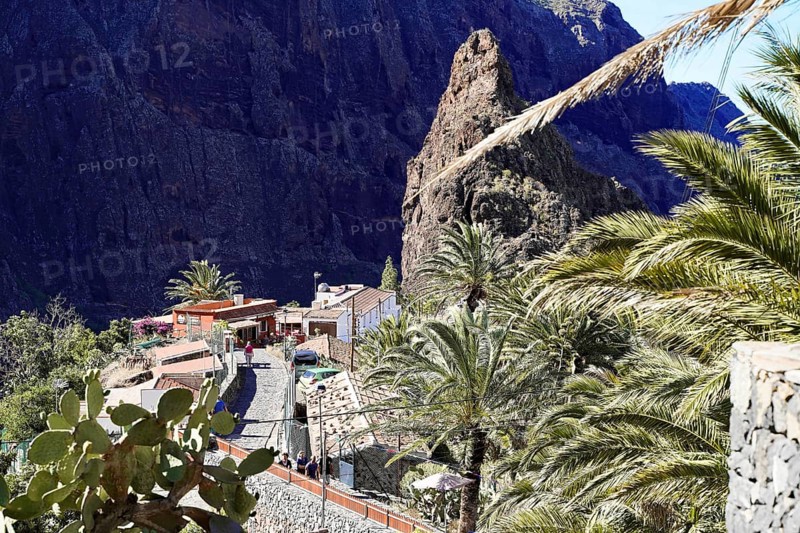Mountain village Masca, Masca Gorge, Montana Teno Mountains, Tenerife, Canary Islands, Spain, Europe, Gorge with palm trees and houses along a rocky path, surrounded by high cliffs and a rocky landscape, Europe