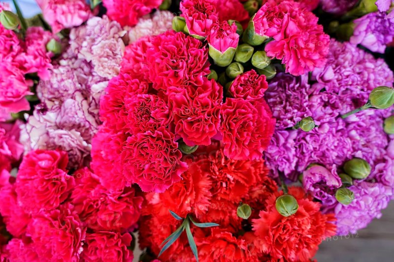 Market hall, Mercado de Nuestra Senora de Africa, Santa Cruz de Tenerife, Tenerife, Canary Islands, Spain, Europe, Colourful carnation blossoms in different colours create a lively and full bouquet of flowers, Europe