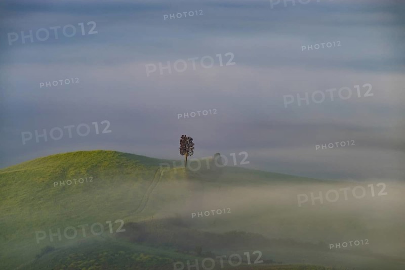 Landscape at sunrise around Volterra, Province of Pisa, Tuscany, Italy, Europe