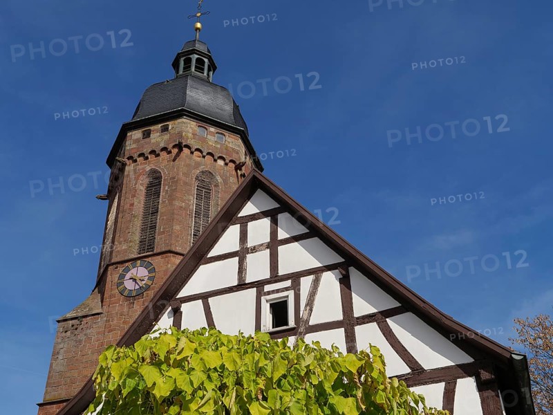 Traditional tower and half-timbered house surrounded by trees under a blue sky, historic half-timbered houses in the Palatinate, kandel, Germany, Europe