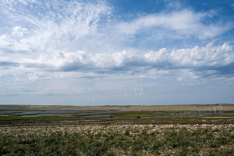 Veliko Blato bird sanctuary, Pag island, Zadar, Dalmatia, Croatia, Europe