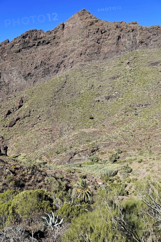 Mountain village Masca, Masca Gorge, Montana Teno Mountains, Tenerife, Canary Islands, Spain, Europe, Hilly, steep landscape with dry vegetation and rocks under a clear blue sky, Europe