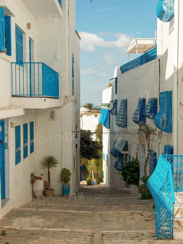 White buildings with blue windows and balconies in a narrow, picturesque alley, Tunis in Africa with ruins from Roman times, modern mosques and blue and white houses in sidi-bou-said, Tunis, Tunisia, Africa