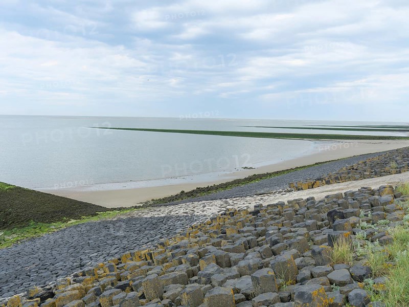 Stony coast with green seaweed and rocky beach in a relaxed atmosphere under a cloudy sky, Baltrum Germany