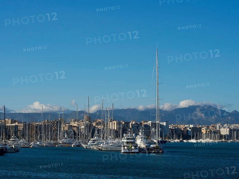 Marina with boats and city in the background under a blue sky, palma de mallorca on the mediterranean sea with its historic houses, the great cathedral and flowers, palma, spain