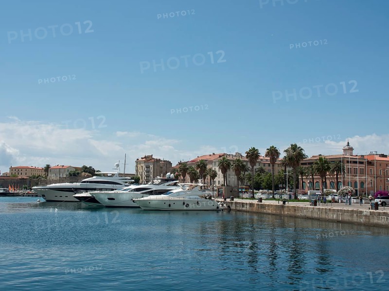 Harbour with several yachts, surrounded by houses and palm trees, on a clear sunny day, Corsica, ajaccio, France, Europe