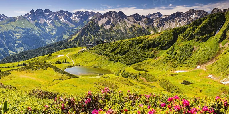 Alpine rose blossom, panorama from the Fellhorn over the Schlappoldsee and mountain station of the Fellhornbahn to the central main ridge of the Allgaeu Alps, Allgaeu, Bavaria, Germany, Europe