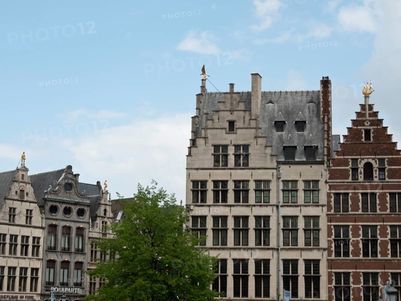 Historic buildings with different gables and a tree in front under a blue sky, Historic buildings, Antwerp, Belgium, Europe