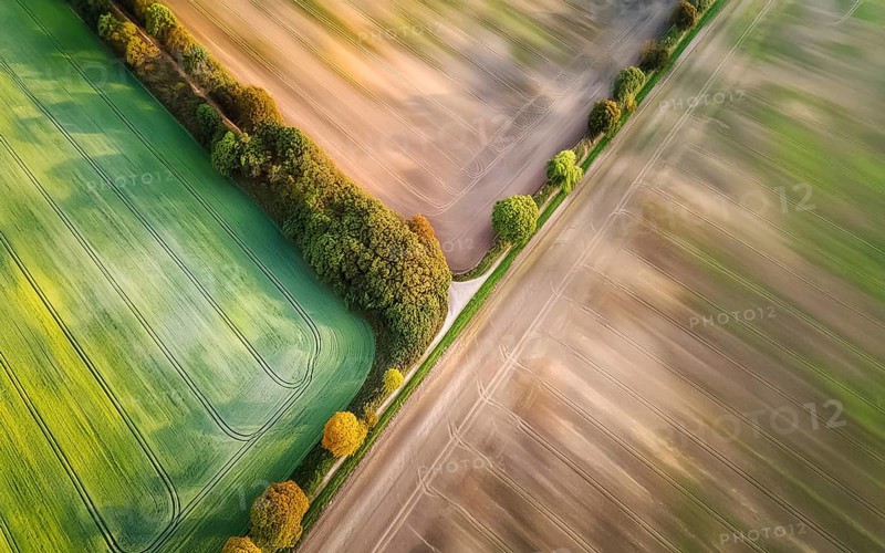 Field hedges from above, between the fields serve as biotope and protection against soil erosion, environmental protection, climate change, AI generated, AI generated