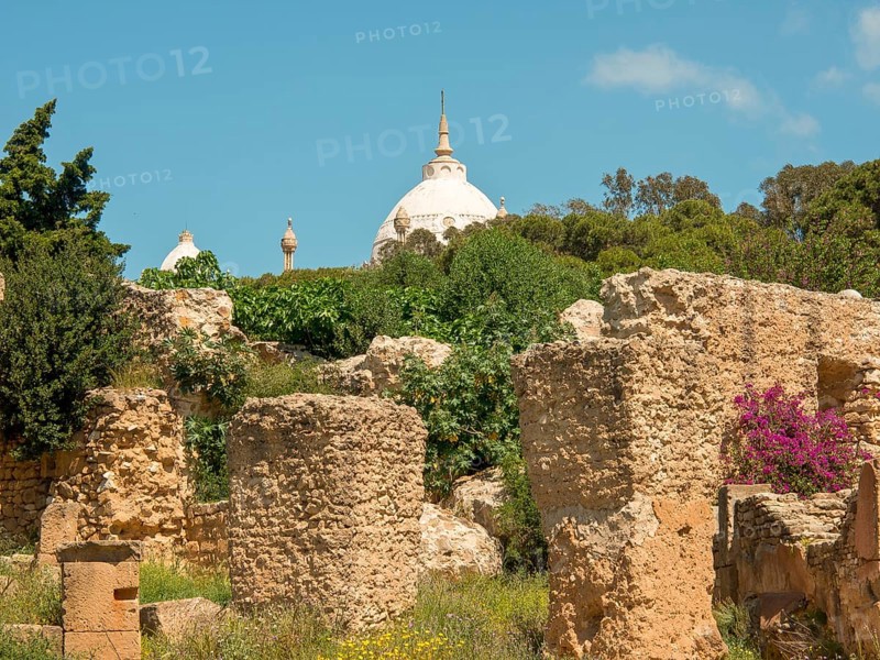 Overview of ancient ruins, in the background a white dome and lush vegetation, Tunis in Africa with ruins from Roman times, modern mosques and blue and white houses in sidi-bou-said, Tunis, Tunisia, Africa