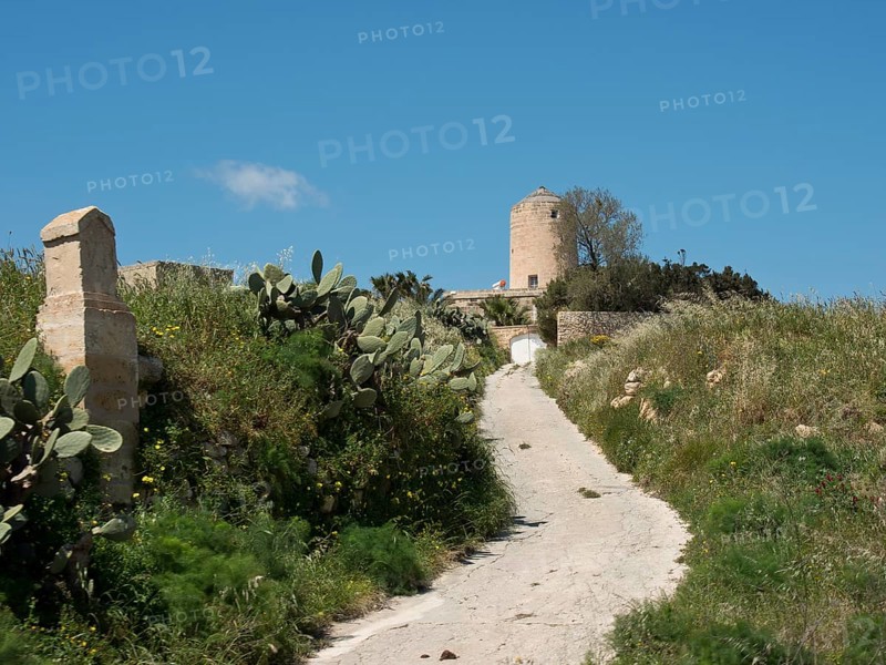 A medieval tower on a hill flanked by cacti and a rural path on a clear day, the island of Gozo with historic houses, colourful balconies, magnificent churches and boats in the harbour, Gozo, Malta, Europe