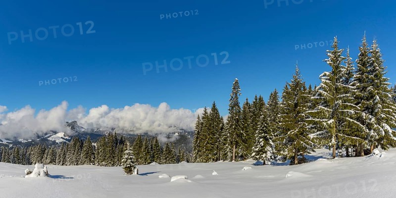 Panorama Hoehenweg, Kleinwalsertal, Allgaeu Alps, Vorarlberg, Austria, Europe