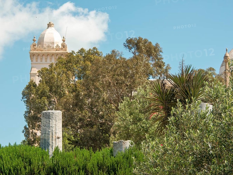 Historic tower behind dense trees under a clear sky, Tunis in Africa with ruins from Roman times, modern mosques and blue and white houses in sidi-bou-said, Tunis, Tunisia, Africa