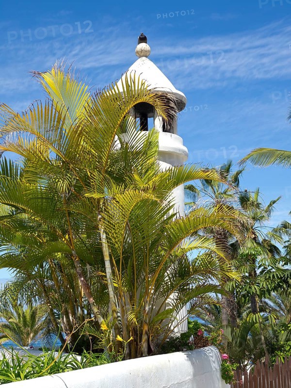 White antique tower between palm trees and bright blue sky, tropical ambience, the island of Tenerife in Spain with palm trees and flowers by the sea, Tenerife, spain