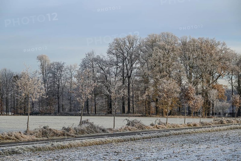 A winter landscape with frozen field, trees and road under a cloudy sky, Frosty winter time in the early morning on fields and meadows in Muensterland, velen, Germany, Europe