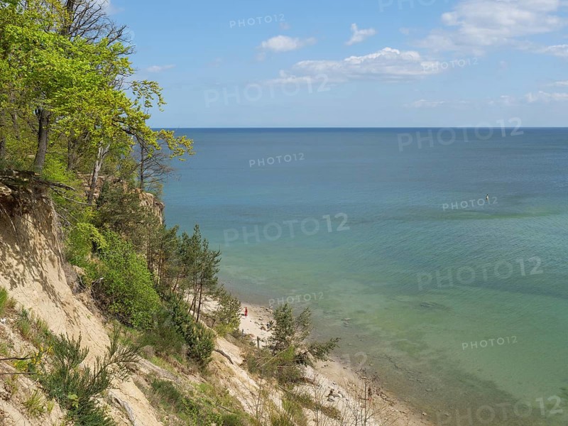 A steep rocky outcrop with green trees, a path leading down to the calm sea under a clear sky, Green trees on a Baltic beach with clear water, Sopot, poland