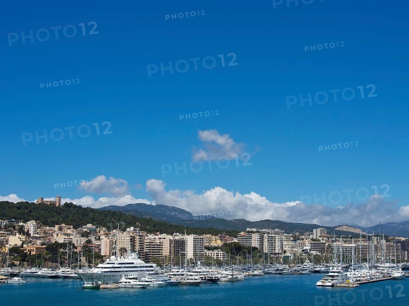 City view with harbour full of yachts and boats, surrounded by buildings and mountains under a blue sky, palma de Majorca with its historic houses, the great cathedral and flowers, palma, spain