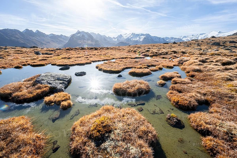Small lake on the high plateau of the Gurgler Seenplatte, glaciated mountain peaks in the background, in autumn, Sonnenstern, near Obergurgl, Oetztal Alps, Tyrol, Austria, Europe