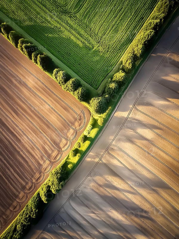Field hedges from above, between the fields serve as biotope and protection against soil erosion, environmental protection, climate change, AI generated, AI generated