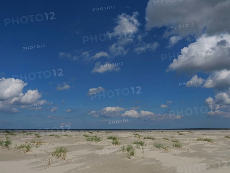 Open beach with scattered dunes under a blue sky with clouds and sea view, Baltrum Germany