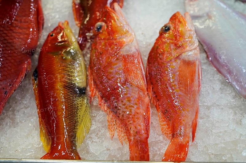 Market hall, Mercado de Nuestra Senora de Africa, Santa Cruz de Tenerife, Tenerife, Canary Islands, Spain, Europe, Several red fish lying on ice, Europe