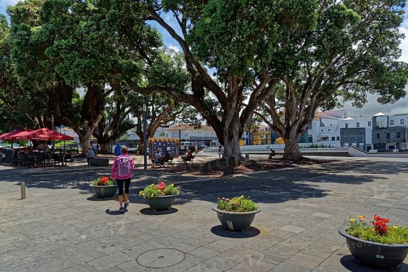 A spacious square with large trees, colourful flowers in boxes and people visiting a nearby cafe, coastal town of Ribeira Grande, Santa Barbara, Sao Miguel, Azores, Portugal, Europe
