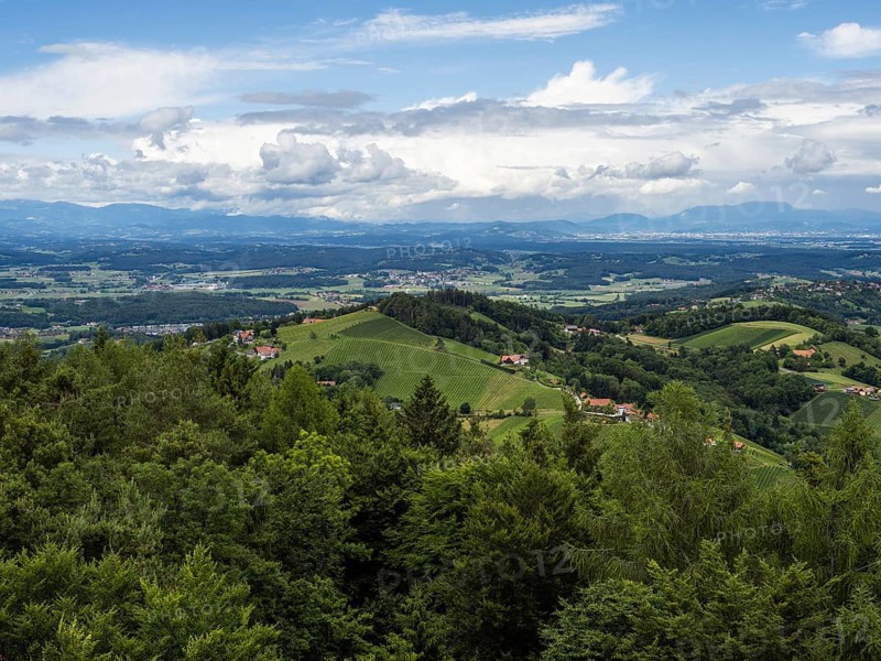 Hilly landscape, vineyards, view from the Demmerkogel lookout point, St. Andrae-Hoech, Sausal wine country, Styria, Austria, Europe