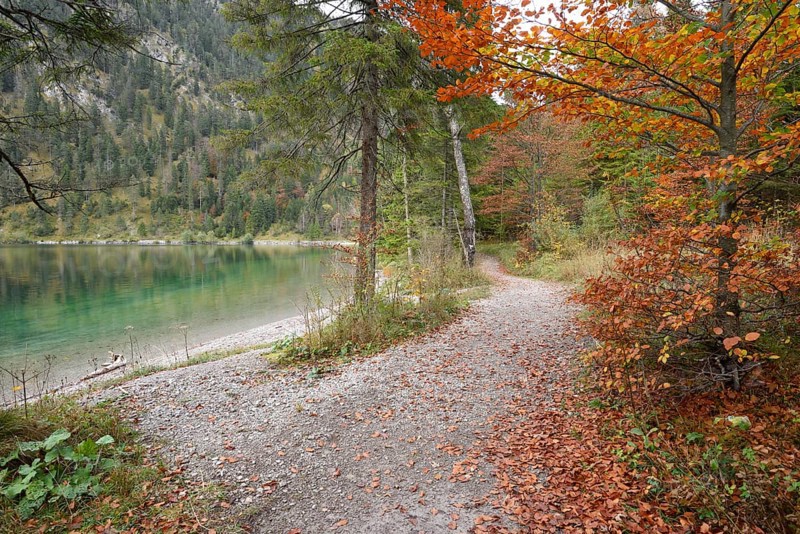Landscape of a little trail going beside a clear lake (Plansee) in autumn in Tirol