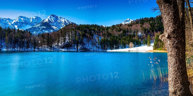 Alatsee, Ostallgaeu, Allgaeu, Swabia, Bavaria, Germany, Europe