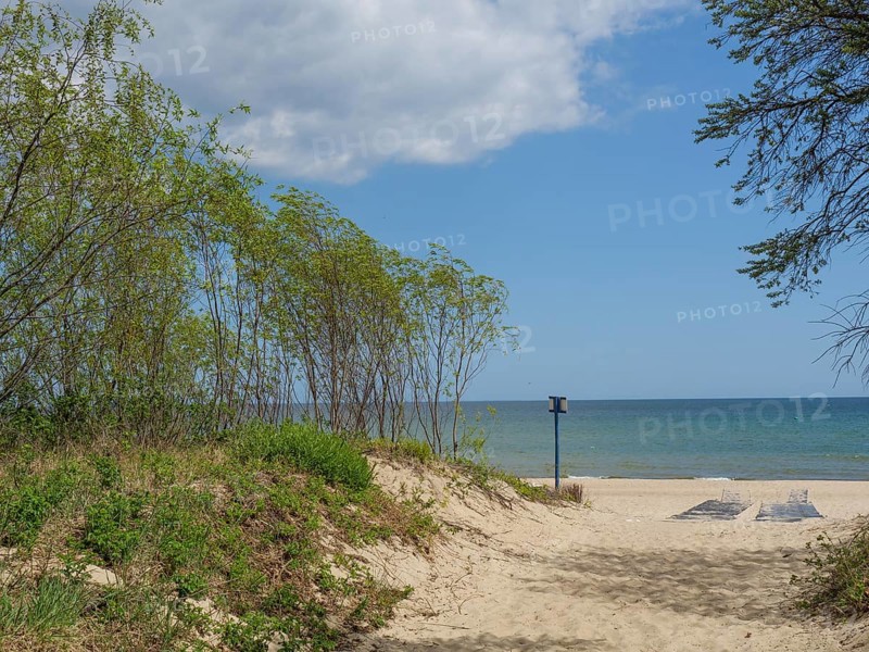 A sandy path through the dunes with trees leads to the sea under a cloudy sky, spring on the Baltic Sea beach in Poland with green trees, sopot, poland