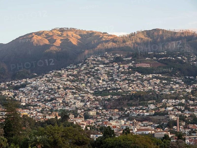 A hilly urban landscape with densely populated houses along the mountain slopes at sunset, Madeira, Portugal, Europe