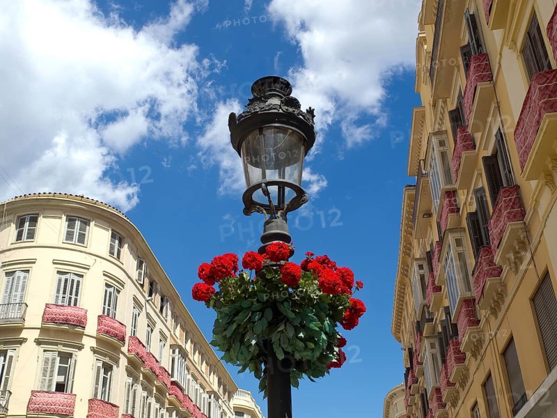Wrought iron street lamp with red flowers against a clear blue sky and surrounding buildings, the historic fortress of Malaga on the Mediterranean Sea with walls and palm trees, Malaga, spain