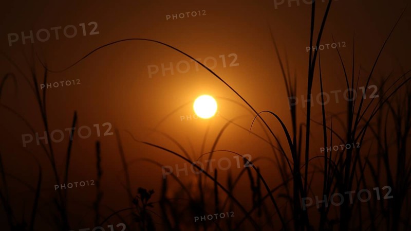 A serene sunset with the sun setting behind grass silhouettes, casting an orange glow and creating a peaceful atmosphere