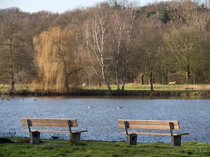 Two wooden benches stand on the shore of a lake, surrounded by wintry trees and a peaceful atmosphere, autumn time at a lake with hiking trails and trees, Borken, Germany, Europe