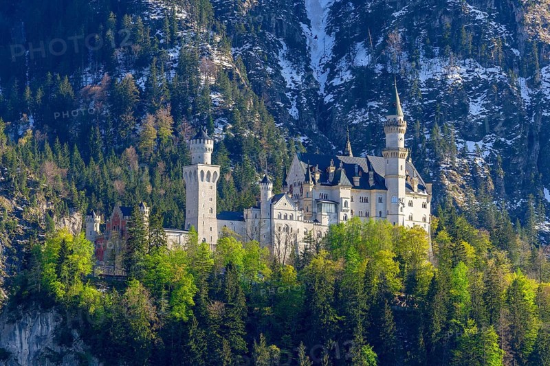 Neuschwanstein Castle in spring, Schwangau, Ostallgaeu, Allgaeu, Swabia, Upper Bavaria, Bavaria, Germany, Europe