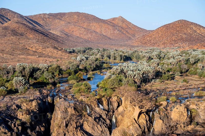 Kunene River with green vegetation in dry red mountain landscape, waterfall and African Baobab (Adansonia digitata), in the evening light, Epupa Falls, Kunene, Namibia, Africa