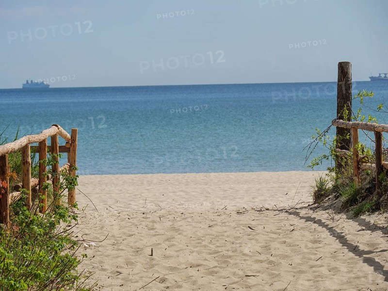 A sandy path leads to the sea, lined by a wooden fence and clear sky, Green trees on a Baltic beach with clear water, Sopot, poland