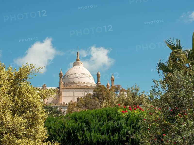 A light beige architectural-style dome rises among trees and flowers under a blue sky, Tunis in Africa with ruins from Roman times, modern mosques and blue and white houses in sidi-bou-said, Tunis, Tunisia, Africa