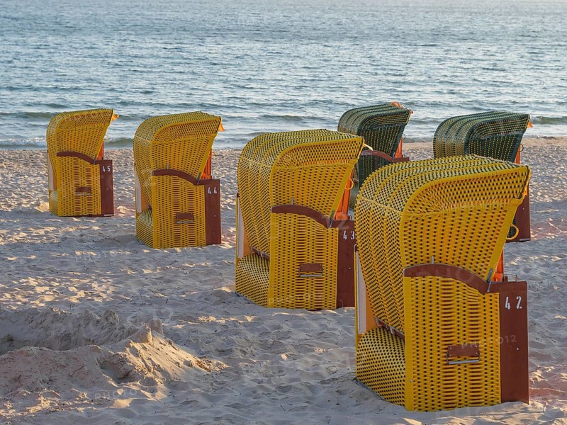 Yellow beach chairs on a sandy beach with a view of the sea in calm light conditions, autumn atmosphere on the beach of Binz with trees beach chairs in the morning light, Binz, germany