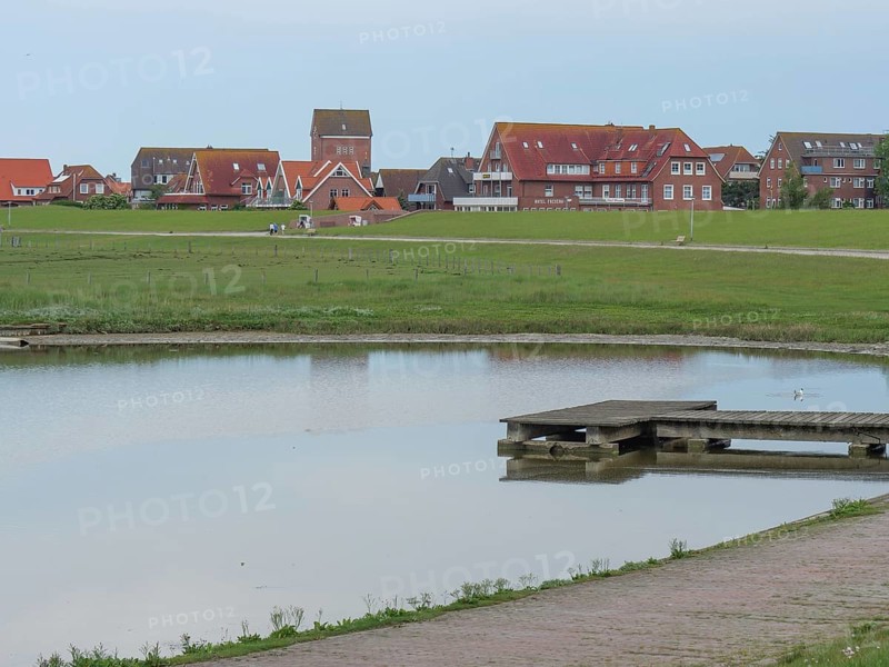 Pond with a wooden jetty and a village with red roofs in the background, Baltrum Germany