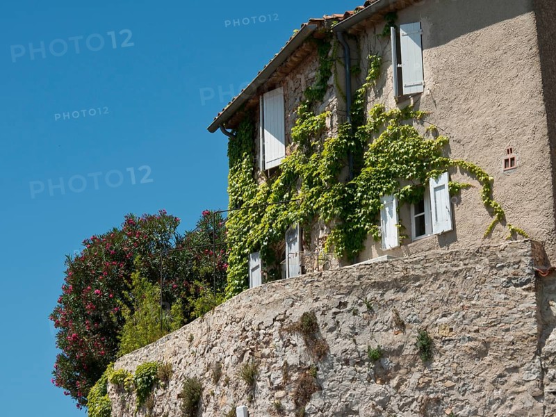 An old house with climbing plants and shutters under a clear blue sky, surrounded by stone walls and vegetation, historic stone houses overgrown with greenery in Provence, Le Castellet, France, Europe