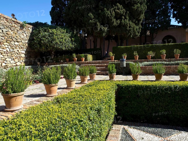 A well-kept garden area with flower pots and trimmed hedges, sunny atmosphere, the historic fortress of Malaga on the Mediterranean with walls and palm trees, Malaga, Spain, Europe