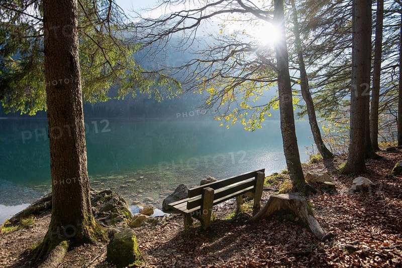 Landscape of a sitting accommodation beside a lake (Langbathsee) in autumn, Austria, Europe